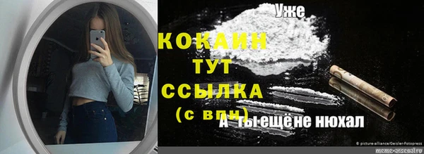 каннабис Богданович