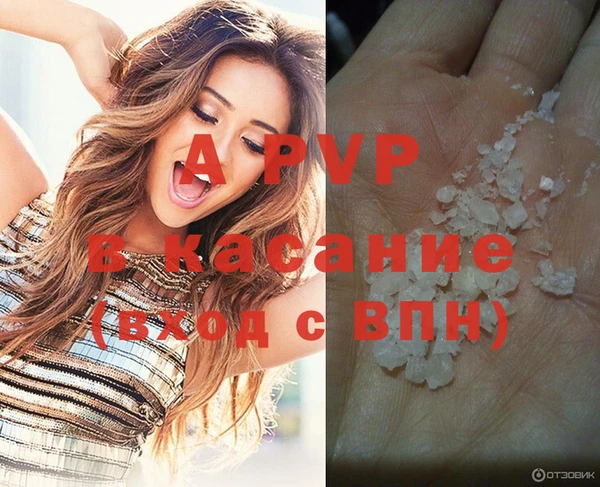 ECSTASY Тавда
