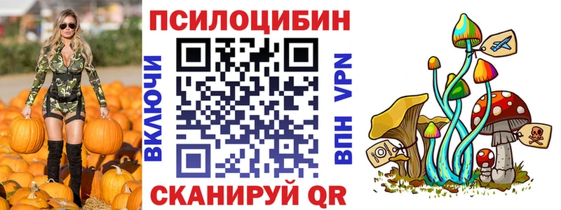 что такое наркотик  Няндома  Псилоцибиновые грибы ЛСД 
