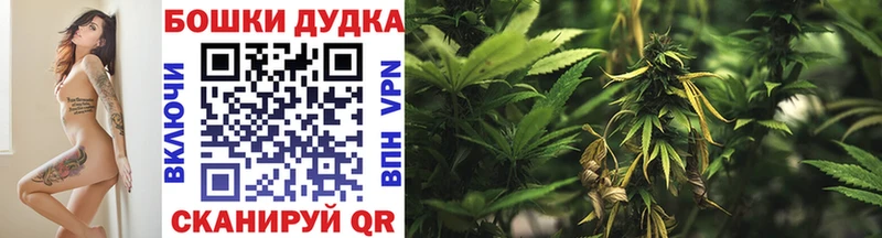 Конопля план  закладка  Няндома 